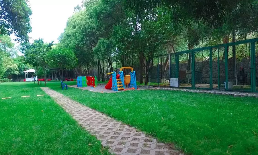 ریوس بیچ