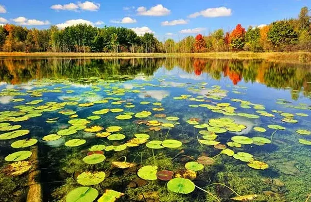 تور رشت از تهران