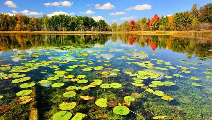 تور رشت از تهران